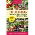 russische bücher: Кизима Г.А. - Что и когда сажать, защищать и удобрять. Календарь садовода до 2020 г.