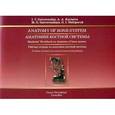 russische bücher: Гайворонский И.В. - Анатомия костной системы. Рабочая тетрадь (на английском языке)