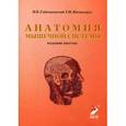 russische bücher: Гайворонский И.В., Ничипорук Г.И. - Анатомия мышечной системы