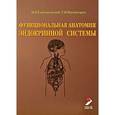 russische bücher: Гайворонский И. В., Ничипорук Г.И. - Функциональная анатомия эндокринной системы: Учебное пособие