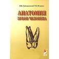 russische bücher: Гайворонский И.В. - Анатомия зубов человека: Учебное пособие