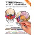 russische bücher: Лоуренс М. Элсон, Уинн Кэпит - Анатомия человека. Атлас-раскраска