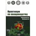 russische bücher: Чернышева Н.Н., Колпаков Н.А. - Практикум по овощеводству: Учебное пособие