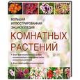 russische bücher:  - Большая иллюстрированная энциклопедия комнатных растений