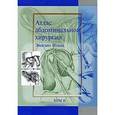 russische bücher: Итала Эмилио - Атлас абдоминальной хирургии: Том 2. Хирургия желудка и двенадцатиперстной кишки
