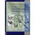 russische bücher: Итала Эмилио - Атлас абдоминальной хирургии. Том 3. Хирургия тонкой и толстой кишки, прямой кишки и анальной области
