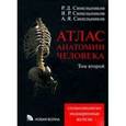 russische bücher: Синельников Рафаил Давидович - Атлас анатомии человека. В 4 томах. Том 2. Учение о внутренностях и эндокринных железах. Учебное пособие