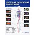 russische bücher: Хофер Матиас - Цветовая дуплексная сонография. Практическое руководство