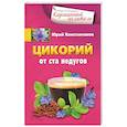 Цикорий от ста недугов