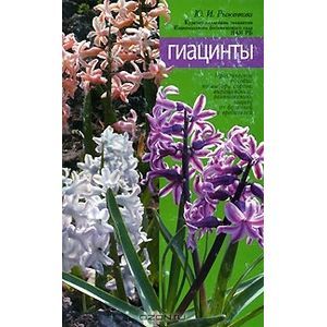 russische bücher: Рыженкова Юлия - Гиацинты
