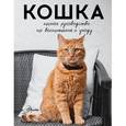russische bücher: Непомнящий Н.Н. - Кошка. Полное руководство по воспитанию и уходу