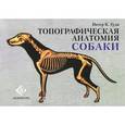 russische bücher: Гуди Питер К. - Топографическая анатомия собаки