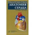 russische bücher: Крылова Н.В. - Анатомия сердца. В схемах и рисунках. Учебное пособие. Гриф УМО по медицинскому образованию