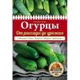 russische bücher: Анна Белякова - Огурцы. От рассады до урожая