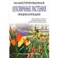russische bücher: Ван Дейк Ханнеке - Луковичные растения. Иллюстрированная энциклопедия