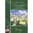 russische bücher: Корсун Владимир Федорович - Лекарственные растения в ЛОР-практике: руководство по клинической фитотерапии