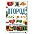 russische bücher: Кизима Г.А. - Огород, сад, цветник в вопросах и ответах