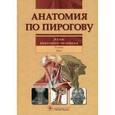 russische bücher: Шилкин Валентин Викторович - Анатомия по Пирогову. Атлас анатомии человека. Том 2