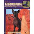 russische bücher: Блинова Татьяна Владимировна - Ксолоитцкуинтли (мексиканская голая собака) . Содержание и уход