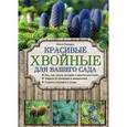 russische bücher: Ольга Городец - Красивые хвойные для вашего сада