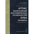 russische bücher: Клёмин В.А., Кубаренко В.В. - Атлас изображений анатомических особенностей зуба человека