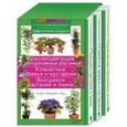 russische bücher: Костина-Кассанелли Наталия Николаевна - Комплект "Цветочная радуга"