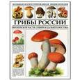 russische bücher:  - Большая иллюстрированная энциклопедия. Грибы России