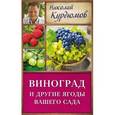 russische bücher: Курдюмов Н.И. - Виноград и другие ягоды вашего сада
