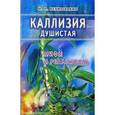 russische bücher: Неумывакин Иван Павлович - Каллизия душистая: мифы и реальность