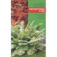 russische bücher: Куклина Алла Георгиевна - Папоротники в саду