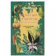 russische bücher: Синяков Алексей Федорович - Золотые рецепты фитотерапии