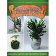 russische bücher: Толмачева С.А. - Идеи для декора цветочных горшков