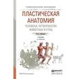russische bücher: Рабинович М.Ц. - Пластическая анатомия человека, четвероногих животных и птиц. Учебник для СПО