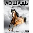 russische bücher:  - Лошадь. Полное руководство по верховой езде и уходу