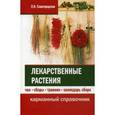 russische bücher: Славгородская Л.Н. - Лекарственные растения: чаи, сборы, травник, календарь сбора. Карманный справочник