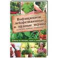 russische bücher: Костина-Касанелли Н. - Выращиваем лекарственные и пряные травы на участке, балконе, подоконнике