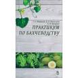 russische bücher: Медведев Геннадий Андреевич - Практикум по бахчеводству. Учебное пособие