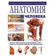 russische bücher:  - Анатомия человека