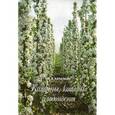 russische bücher: М.В. Качалкин - Колонны, которые плодоносят