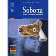russische bücher: Под ред. Путца Р., Пабста Р. - Sobotta. Атлас анатомии человека. В 2-х томах. Том 1: Голова. Шея. Верхняя конечность