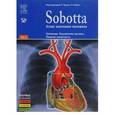 russische bücher: Путца Р., Пабста Р. - Sobotta. Атлас анатомии человека. В 2-х томах. Том 2: Туловище. Внутренние органы. Нижняя конечность. + брошюра