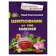 russische bücher: Константинов Ю. - Шиповник. От 100 болезненй