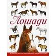 russische bücher: Спектор А.А. - Лошади