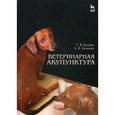 russische bücher: Казеев Г.В., Казеева А.В. - Ветеринарная акупунктура: Учебное пособие