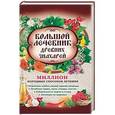 russische bücher: Кузьмина Л. - Большой лечебник древних знахарей