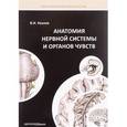 russische bücher: Козлов В.И. - Анатомия нервной системы и органов чувств: Учебное пособие