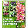 russische bücher: Сергиенко Е.Н. - Орхидеи пальмы кактусы суккуленты