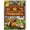 russische bücher: Матанцев А.Н., Матанцева С.Г. - Большая энциклопедия грибника