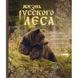 russische bücher: Ксения Митителло - Жизнь русского леса. Большая подарочная энциклопедия (медведь)