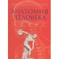 russische bücher: Абрахамс Питер - Анатомия человека. Атлас